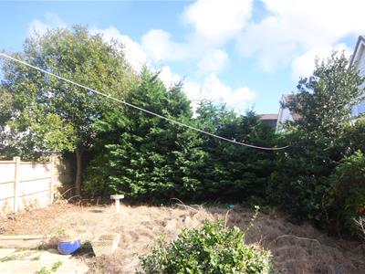 Picture 19